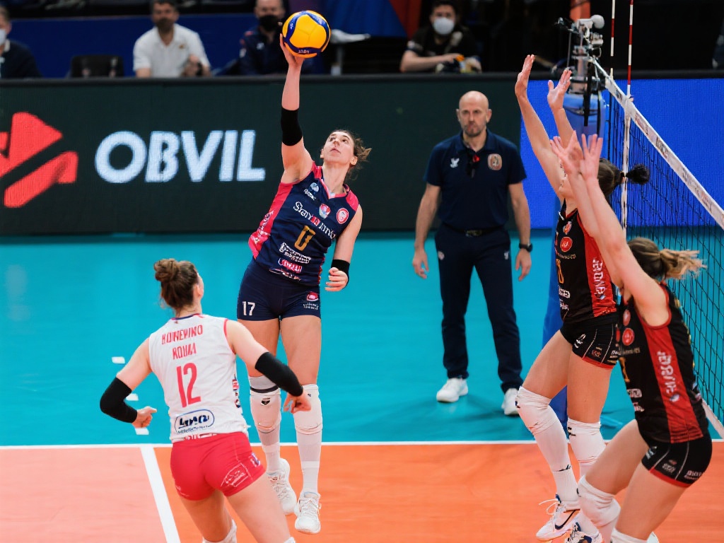 出了良好的 出了良好的