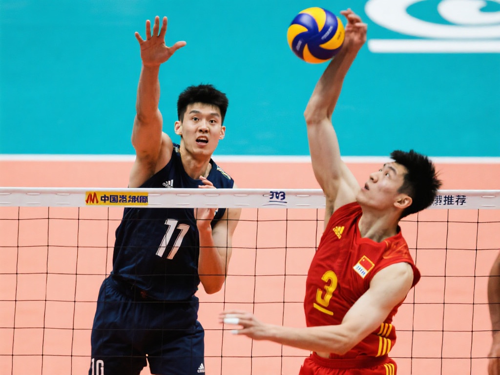 晰而全面的 晰而全面的